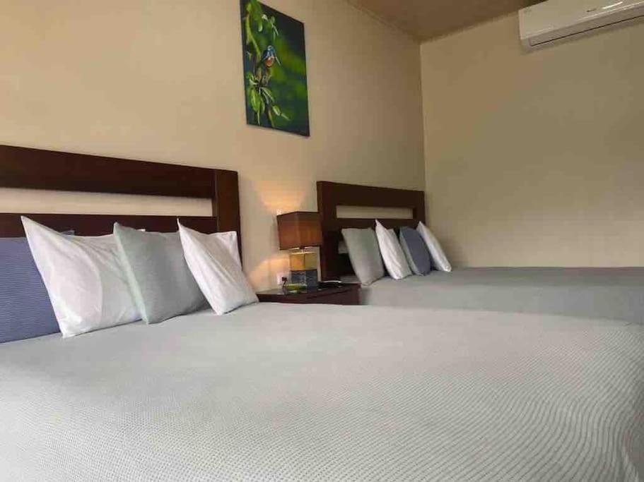 Lisa Loft Boutique Apartment La Fortuna Kültér fotó
