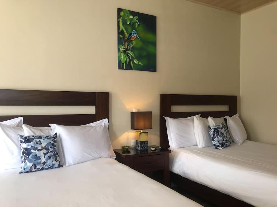 Lisa Loft Boutique Apartment La Fortuna Kültér fotó